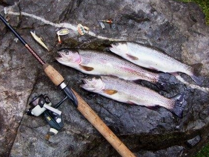 Особенности национальной рыбалки