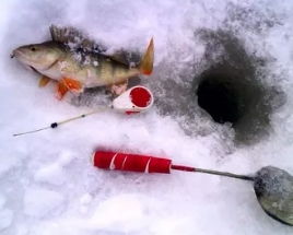 Рыбалка в январе
