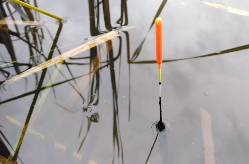 Как ловить рыбу на удочку - советы по ловле на поплавочную удочку