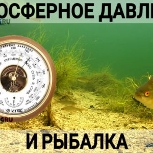 Лучшее давление для рыбалки летом