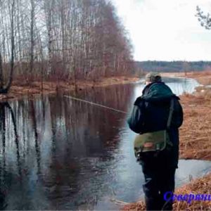 Ловля щуки весной на спиннинг
