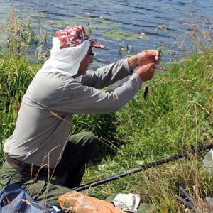 Прогноз клева рыбы в кинешме