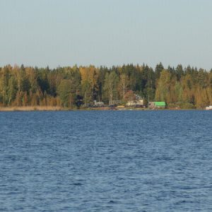 Рыбалка в тосненском районе вконтакте