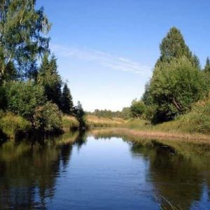Прогноз клева рыбы в лузе