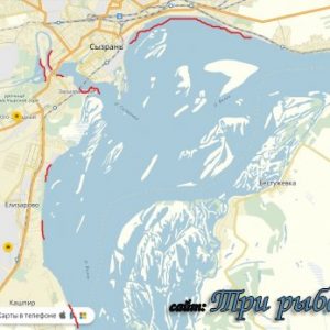 Прогноз клева рыбы в сызрани