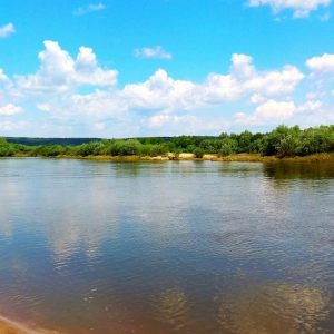 Прогноз клева рыбы во владимире