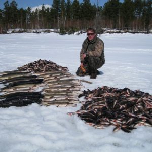 Шуруповерт метабо для зимней рыбалки