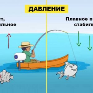 Лучшее давление для зимней рыбалки