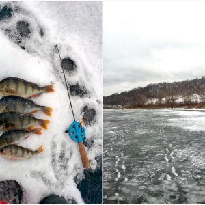 Рыбалка в кстово нижегородская область
